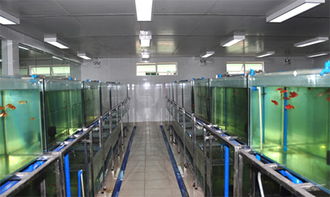 珠江水产研究所的水生实验动物研究发展